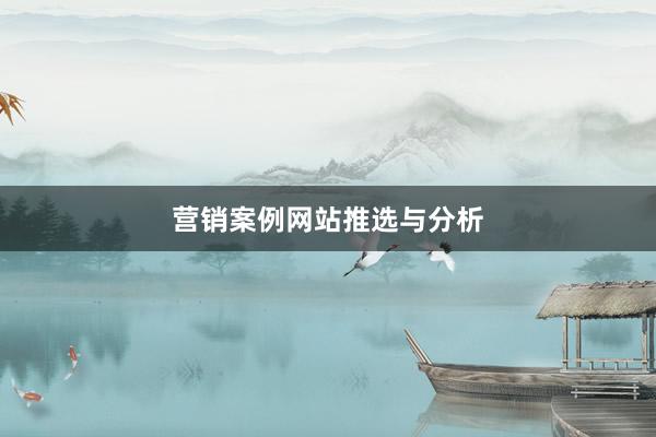 营销案例网站推选与分析